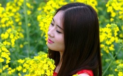 火影忍者小樱婐禁p